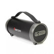 Beecaro Outdoor/Indoor Wireless Speaker – Rugged Design, Powerful Sound